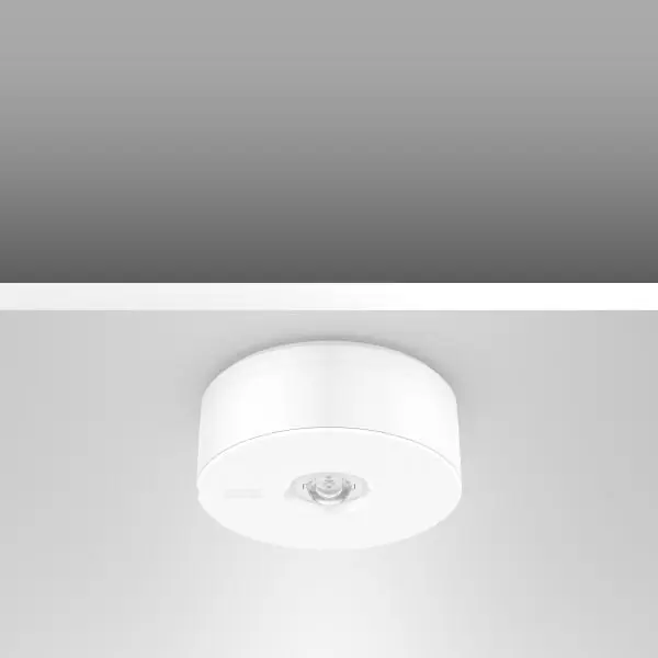RZB - 672527.002 LED-Sicherheitsleuchte Lucio 2 1W 4000K IP20 Bestseller